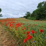 Anne Usadel Uckermark
