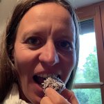 Protein-Schoko-Balls – gesunder veganer Snack mit Kakao und Kokosflocken