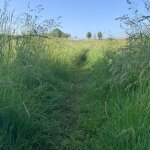 Gewohnheiten formen deinen Pfad