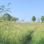 Gewohnheiten durchbrechen und einen neuen Pfad beschreiten