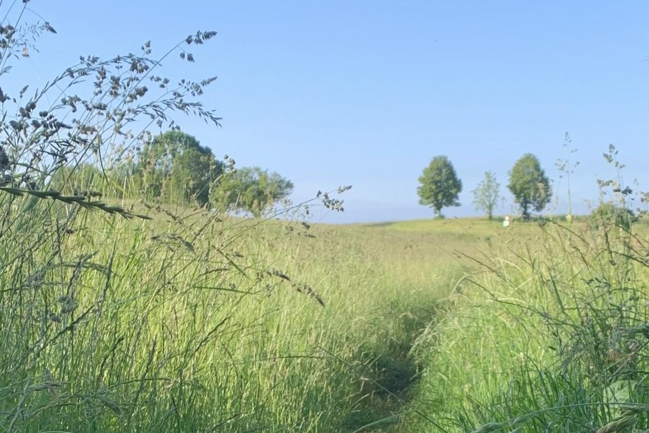 Gewohnheiten durchbrechen und einen neuen Pfad beschreiten