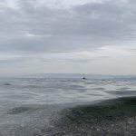 Ruhige Wasseroberfläche als Symbol für Gefühle und das Spiegelgesetz im ganzheitlichen Ansatz