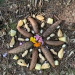 Naturkreis aus Zapfen und Steinen als Symbol für in dir ankommen und den Vierklang aus Körper Geist Seele und Emotionen